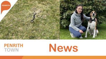 news-3776.jpeg